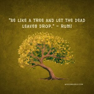 Be Like A Tree and Let the Dead Leaves Drop