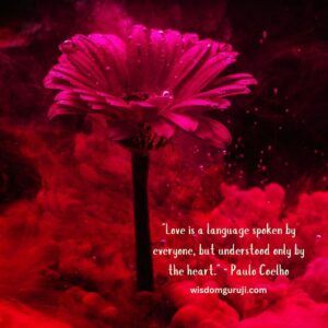 Love is A Language Spoken by Everyone