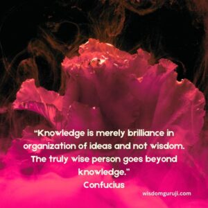 Knowledge is Merely Brilliance in Organization of Ideas