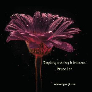 Simplicity is the Key to Brilliance