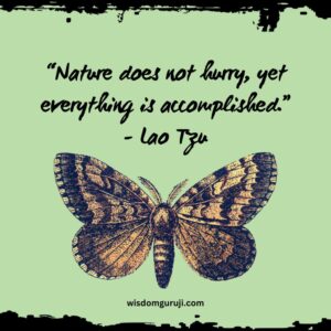 Nature Does Not Hurry Yet Everything is Accomplished