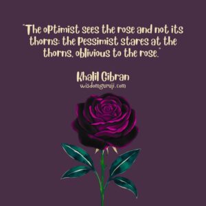 The Optimist Sees the Rose