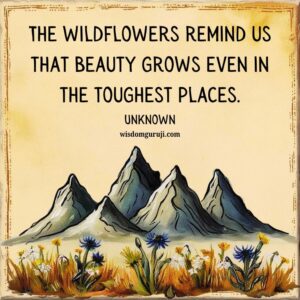 The Wildflowers Remind Us